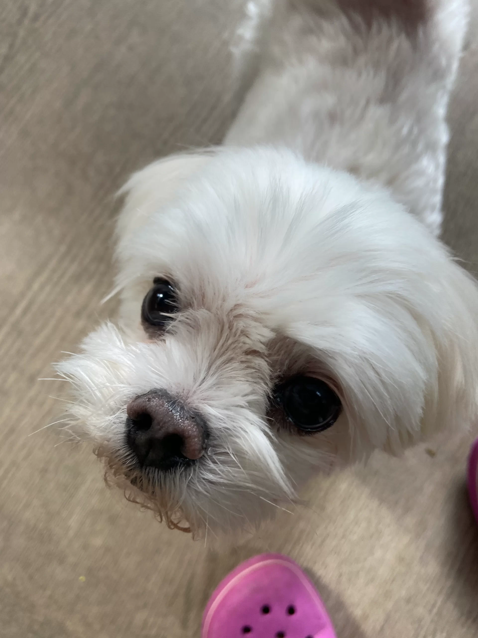 新しくブログを初めてみました(*´꒳`*)
